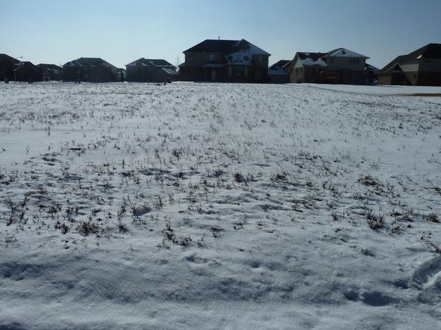 House Photo