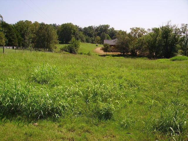 House Photo