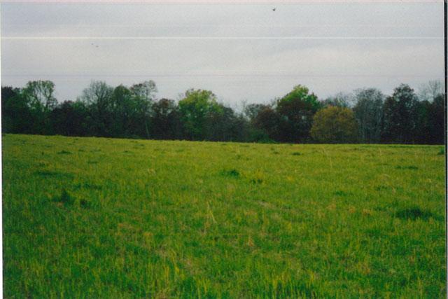 House Photo