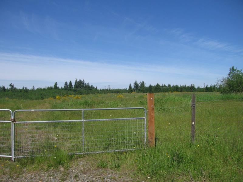 House Photo