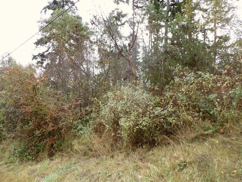 House Photo