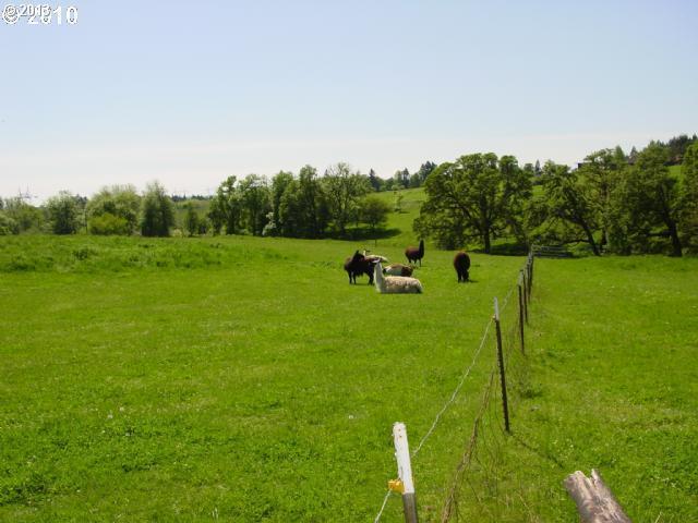 House Photo