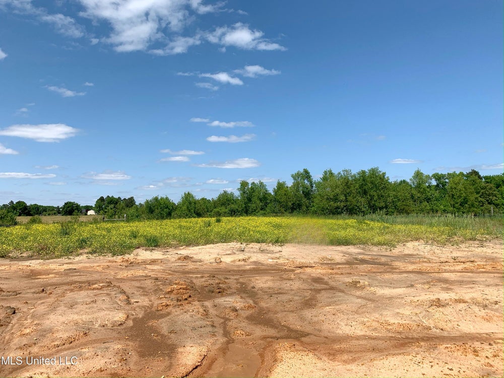 138 Coventry Lane, Canton, MS 39046 BHGRE