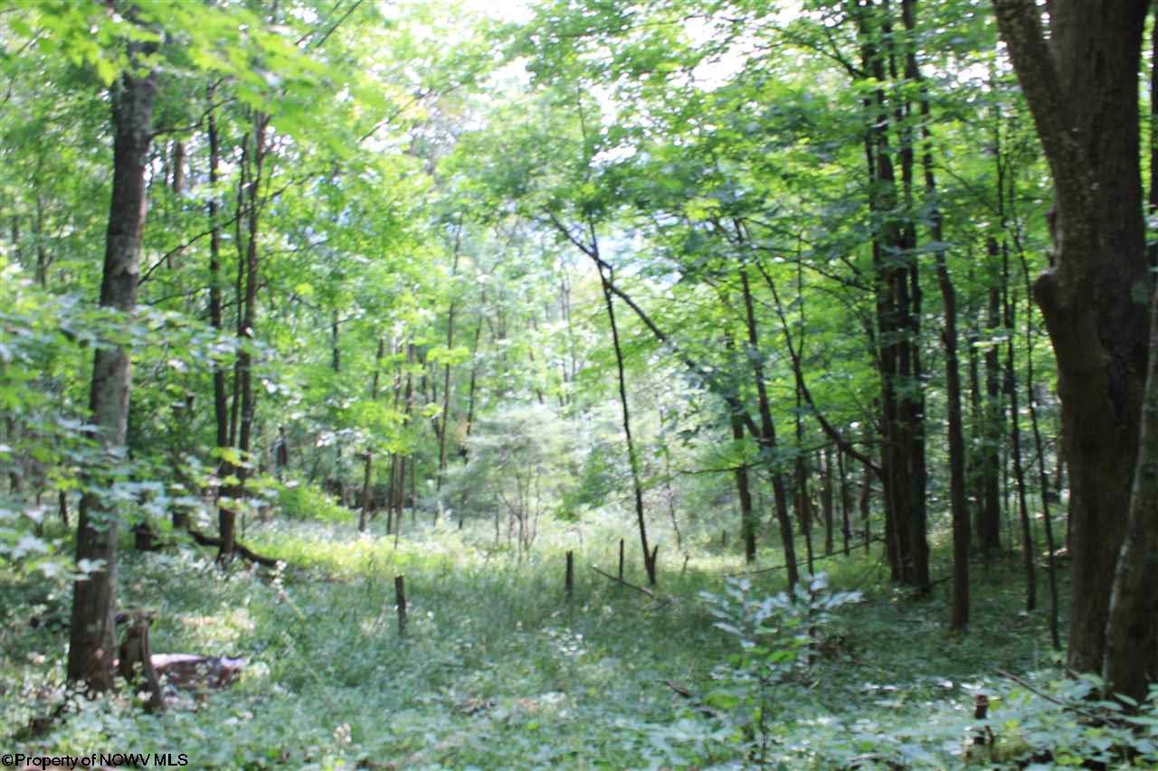 Lot 7 High Mountain Road Harman WV 26270 MLS 10099944