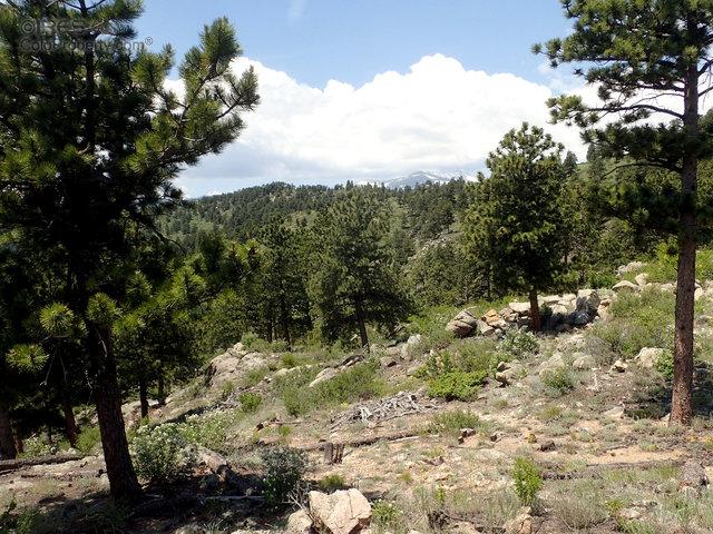 Dating scene in boulder colorado