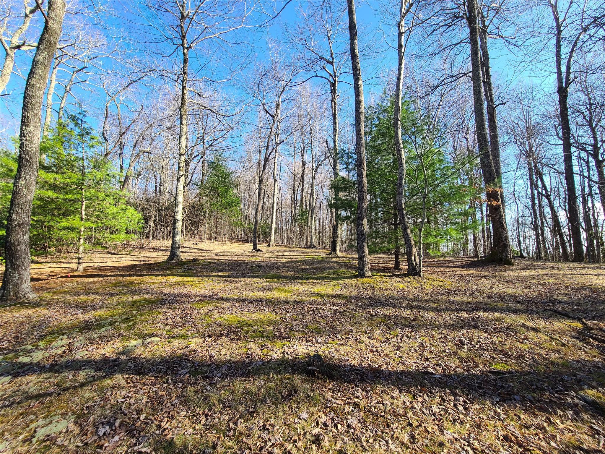 LND located at TBD Corbin Mountain Road