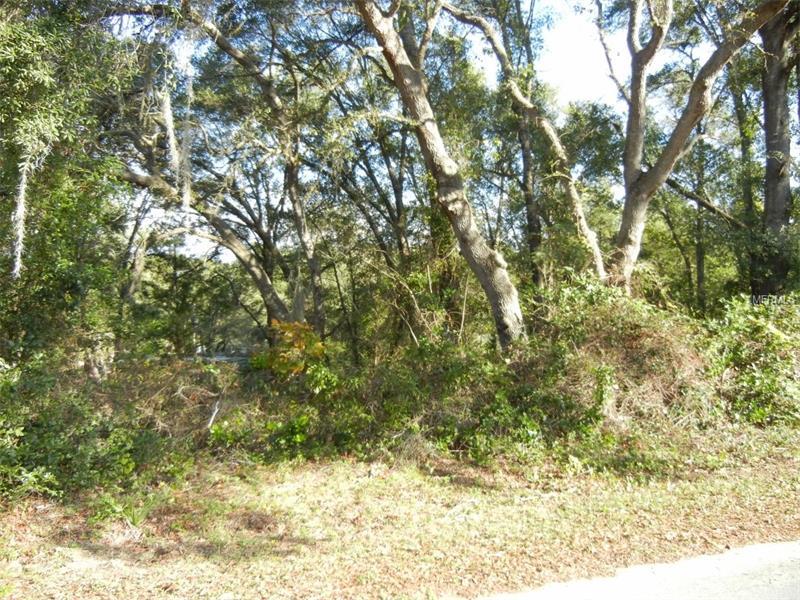 Tammy King of ERA Grizzard Real Estate