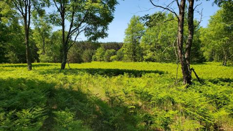 Local Real Estate Homes For Sale Hesperia Mi Coldwell Banker