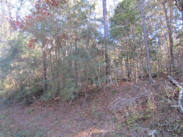 LND located at 30.90 ac Purvis To Baxterville Rd.
