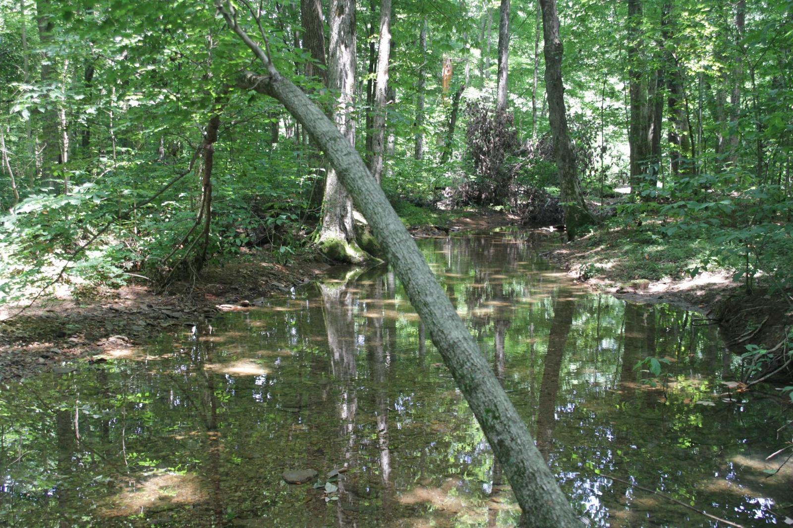 Local swingers cross plains tennessee Lycoming County Obituaries, Lycoming County, Pennsylvania