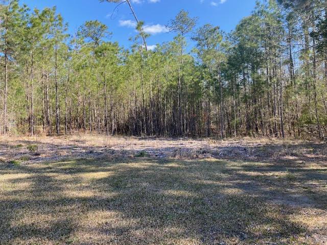 Century 21 Real Estate Century 21 Champion Real Estate