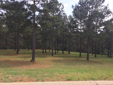 LND located at Villages Of Cypress Bend Phase 1 Lot 22