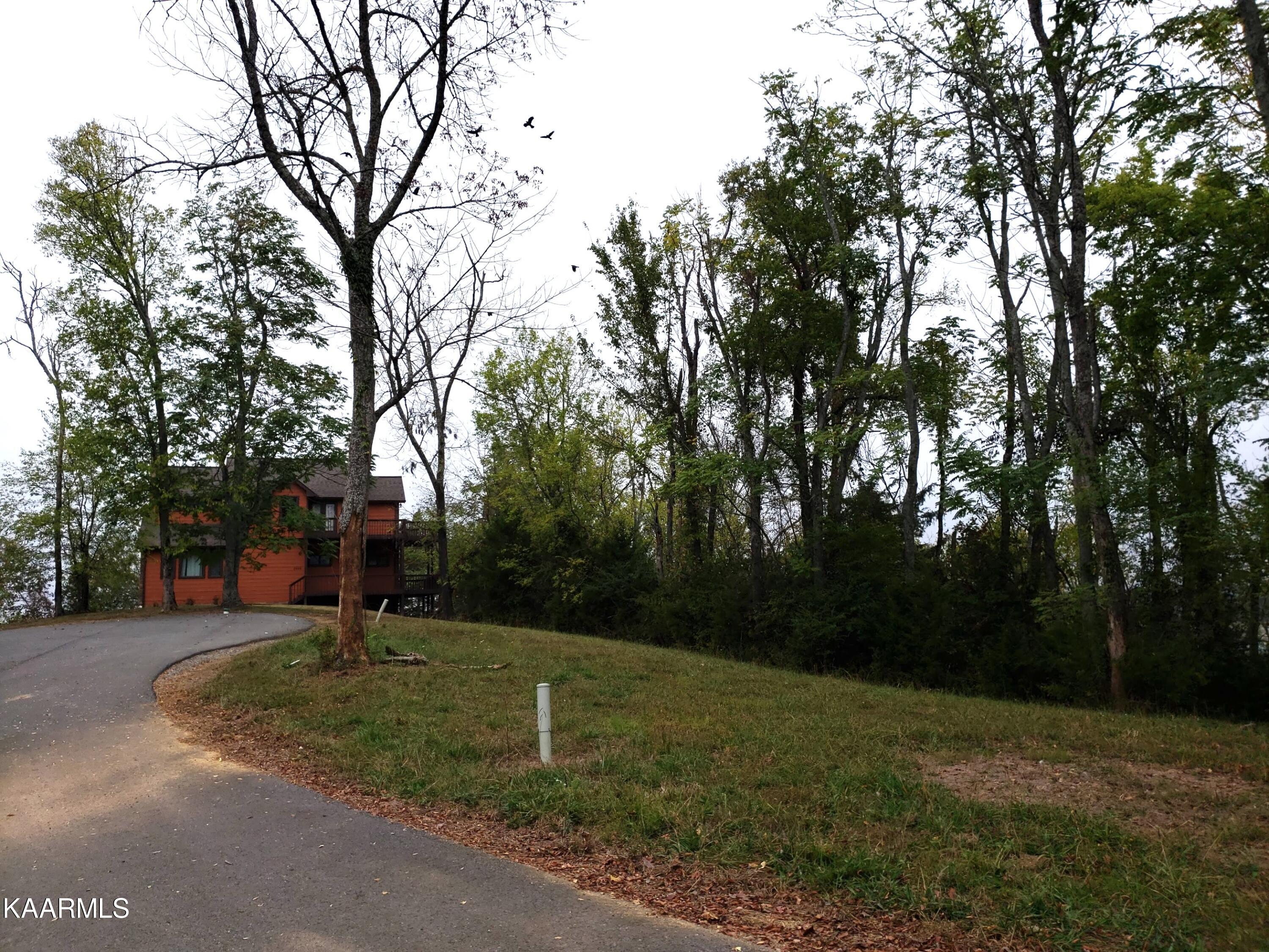 1720 Hallie Way Newport Tn 37821 64 - g5lezy7
